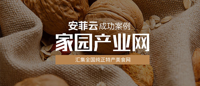 家園產(chǎn)業(yè)網(wǎng)通過(guò)搭建安菲云快速布局線上線下分銷渠道